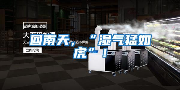 回南天，“濕氣猛如虎”！