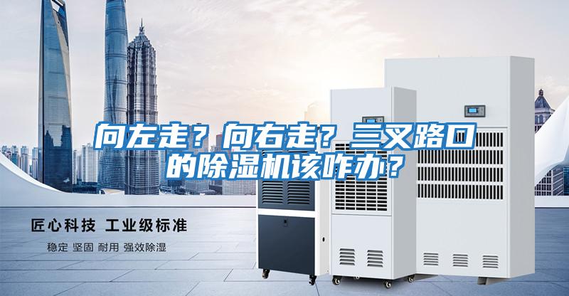 向左走？向右走？三叉路口的除濕機該咋辦？