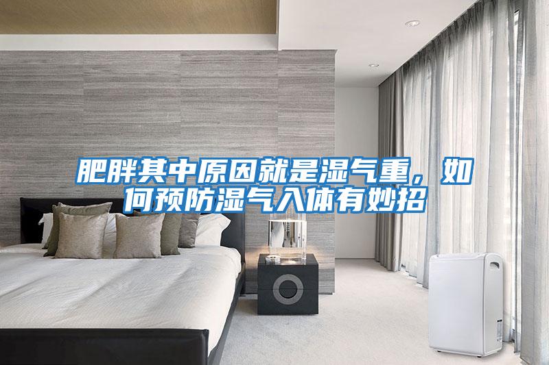 肥胖其中原因就是濕氣重，如何預防濕氣入體有妙招