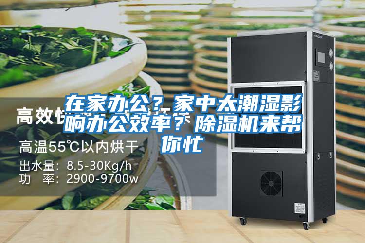 在家辦公？家中太潮濕影響辦公效率？除濕機來幫你忙