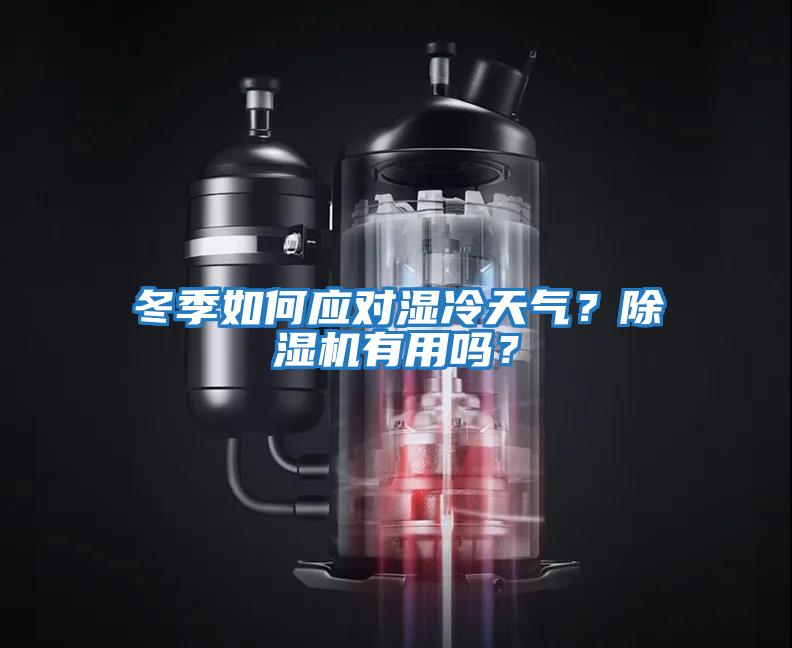 冬季如何應對濕冷天氣？除濕機有用嗎？