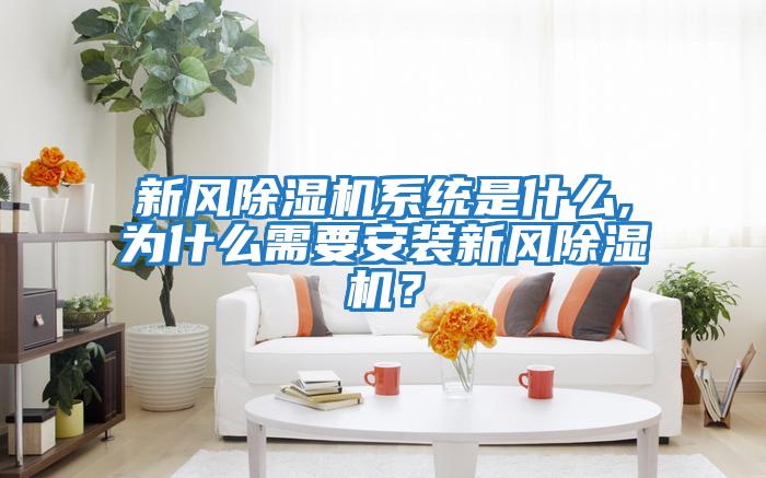 新風除濕機系統是什么,為什么需要安裝新風除濕機？
