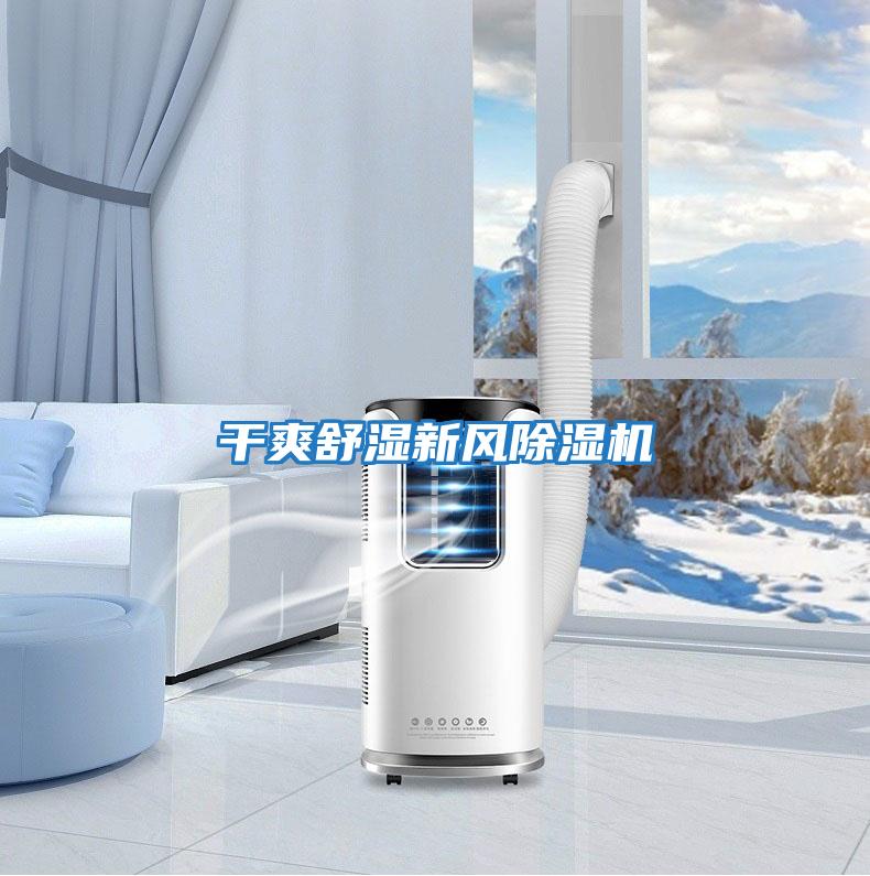 干爽舒濕新風(fēng)除濕機