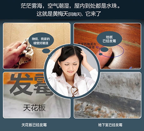 梅雨季，除濕機助你除潮去濕