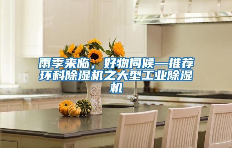 雨季來(lái)臨,好物伺候—推薦環(huán)科除濕機(jī)之大型工業(yè)除濕機(jī)