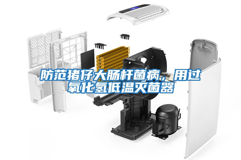 防范豬仔大腸桿菌病，用過氧化氫低溫滅菌器