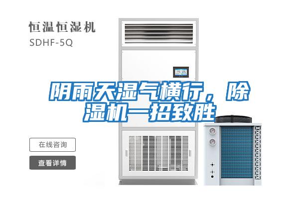 陰雨天濕氣橫行,除濕機(jī)一招致勝