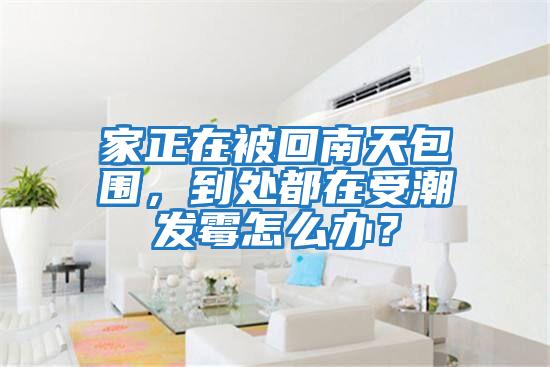 家正在被回南天包圍，到處都在受潮發霉怎么辦？