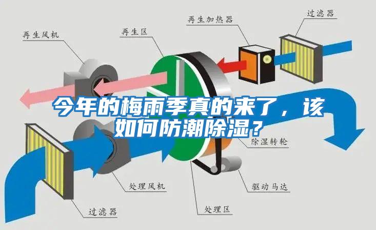 今年的梅雨季真的來了，該如何防潮除濕？