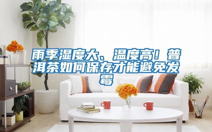 雨季濕度大、溫度高！普洱茶如何保存才能避免發霉