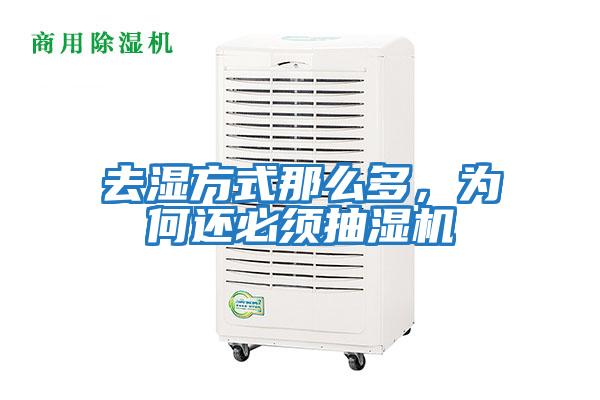 去濕方式那么多，為何還必須抽濕機(jī)