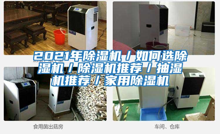 2021年除濕機/如何選除濕機/除濕機推薦/抽濕機推薦/家用除濕機