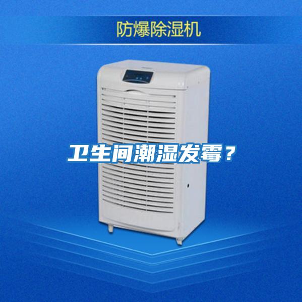 衛(wèi)生間潮濕發(fā)霉?