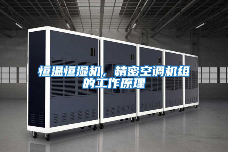 恒溫恒濕機，精密空調(diào)機組的工作原理