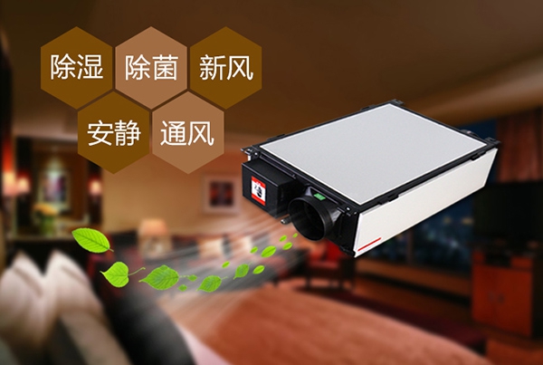 回南天如何防潮濕？選對除濕機高枕無憂