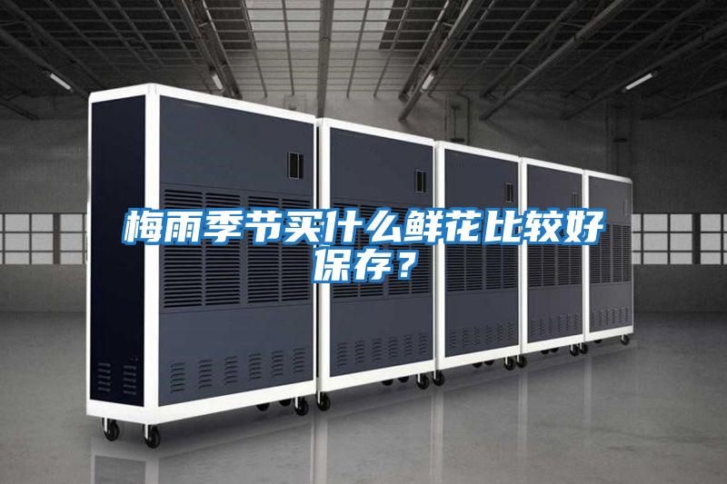 梅雨季節(jié)買什么鮮花比較好保存?