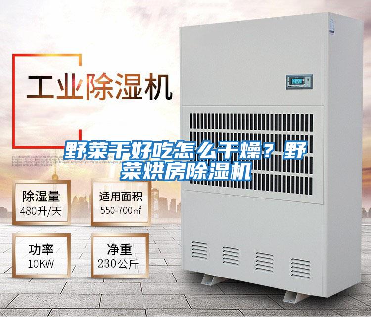 野菜干好吃怎么干燥？野菜烘房除濕機