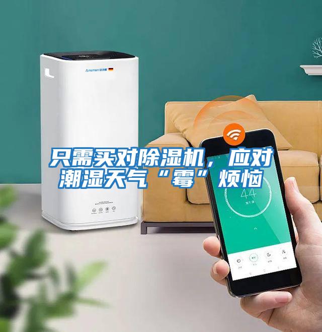 只需買對(duì)除濕機(jī)，應(yīng)對(duì)潮濕天氣“霉”煩惱