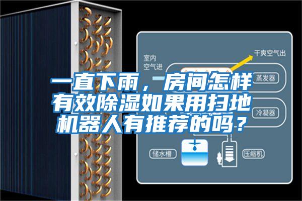 一直下雨，房間怎樣有效除濕如果用掃地機器人有推薦的嗎？