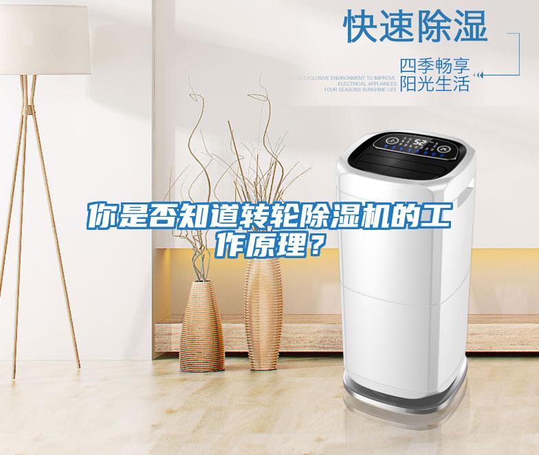 你是否知道轉(zhuǎn)輪除濕機(jī)的工作原理？