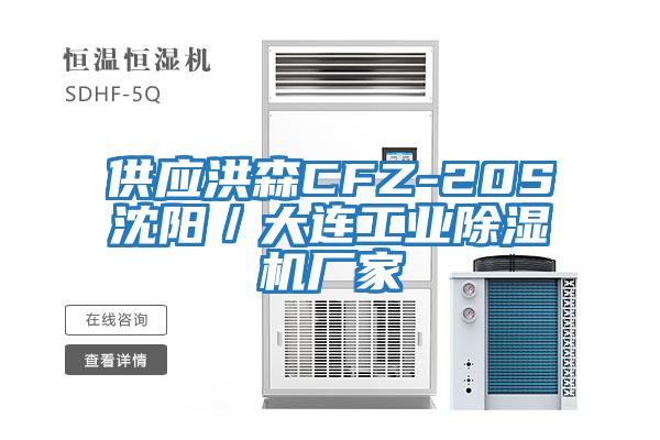 供應洪森CFZ-20S沈陽／大連工業除濕機廠家