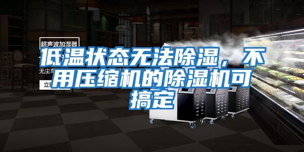 低溫狀態無法除濕，不用壓縮機的除濕機可搞定