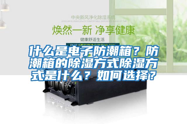 什么是電子防潮箱？防潮箱的除濕方式除濕方式是什么？如何選擇？