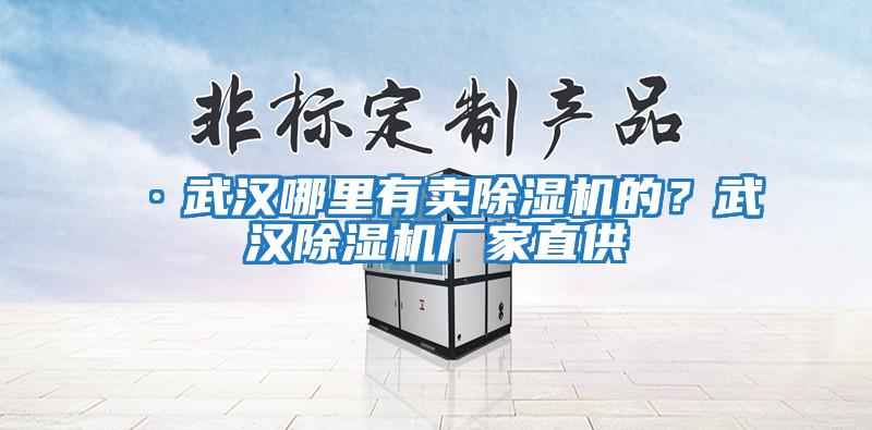 ·武漢哪里有賣(mài)除濕機(jī)的？武漢除濕機(jī)廠家直供