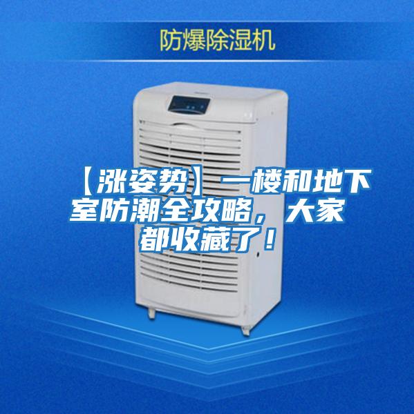 【漲姿勢】一樓和地下室防潮全攻略，大家都收藏了！