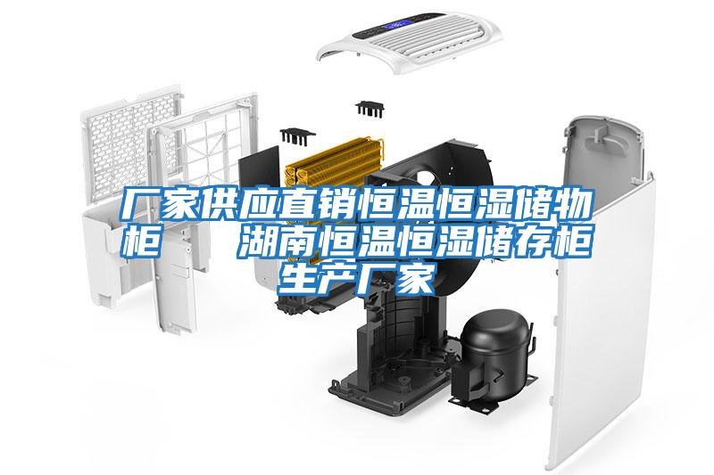 廠家供應直銷恒溫恒濕儲物柜   湖南恒溫恒濕儲存柜生產廠家