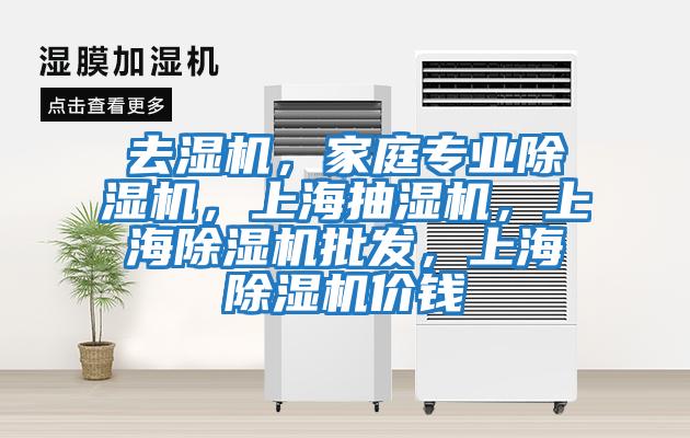 去濕機，家庭專業除濕機，上海抽濕機，上海除濕機批發，上海除濕機價錢