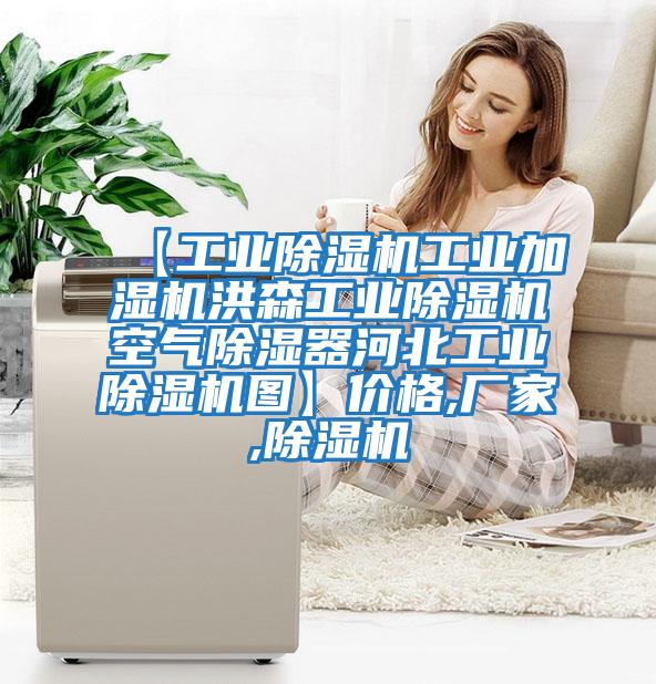 【工業除濕機工業加濕機洪森工業除濕機空氣除濕器河北工業除濕機圖】價格,廠家,除濕機
