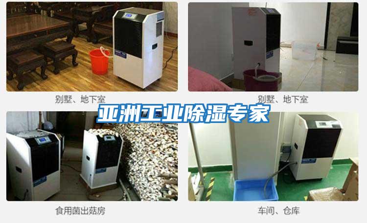亞洲工業除濕專家