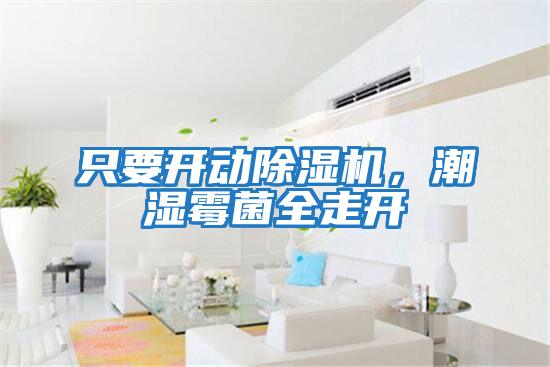 只要開動除濕機，潮濕霉菌全走開