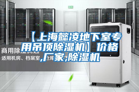 【上海懿凌地下室專(zhuān)用吊頂除濕機(jī)】?jī)r(jià)格,廠家,除濕機(jī)