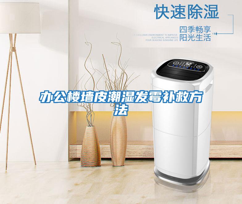 辦公樓墻皮潮濕發霉補救方法