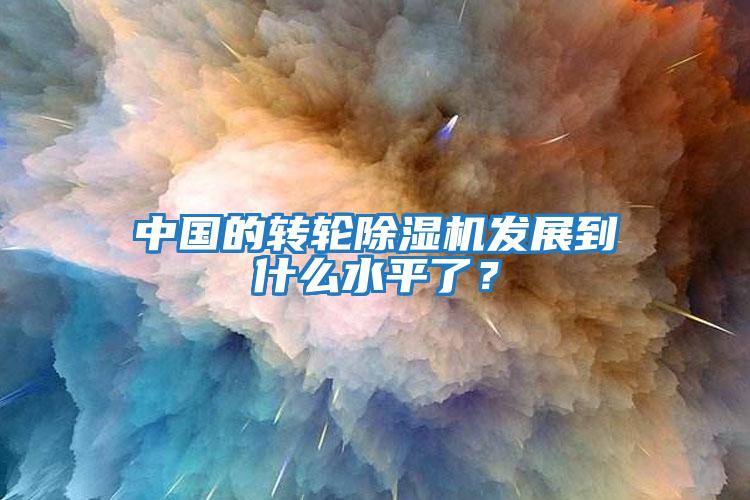 中國的轉(zhuǎn)輪除濕機(jī)發(fā)展到什么水平了？