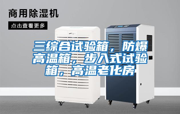 三綜合試驗(yàn)箱，防爆高溫箱，步入式試驗(yàn)箱，高溫老化房