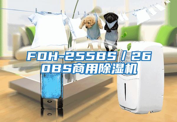 FDH-255BS/260BS商用除濕機