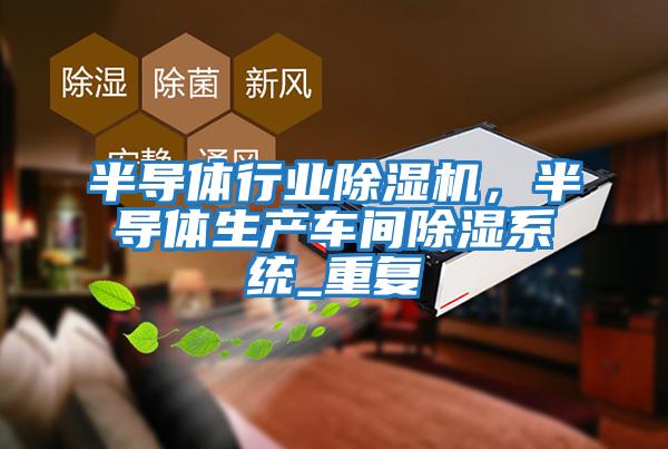 半導(dǎo)體行業(yè)除濕機(jī)，半導(dǎo)體生產(chǎn)車間除濕系統(tǒng)_重復(fù)