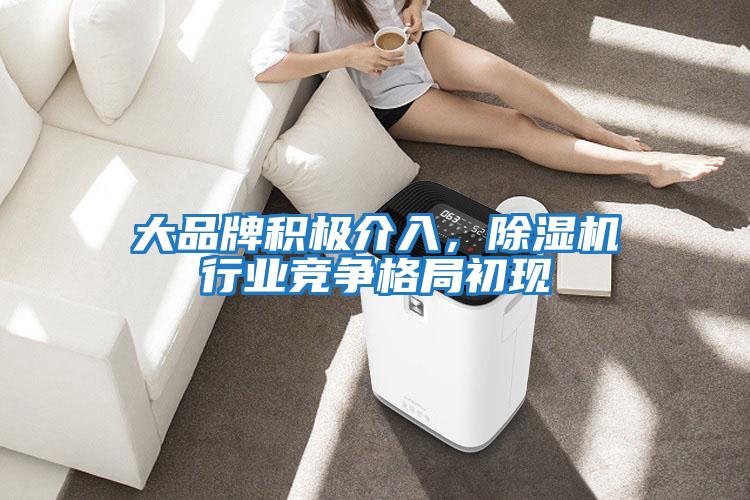 大品牌積極介入，除濕機(jī)行業(yè)競爭格局初現(xiàn)