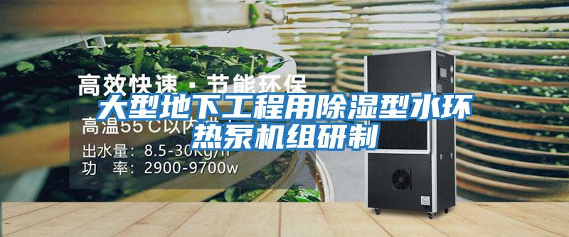 大型地下工程用除濕型水環熱泵機組研制