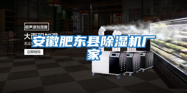 安徽肥東縣除濕機(jī)廠(chǎng)家