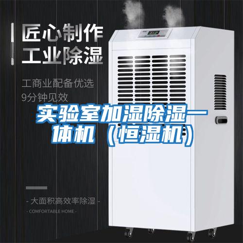實(shí)驗(yàn)室加濕除濕一體機(jī)(恒濕機(jī))