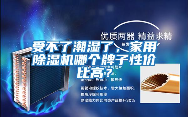 受不了潮濕了，家用除濕機(jī)哪個(gè)牌子性?xún)r(jià)比高？