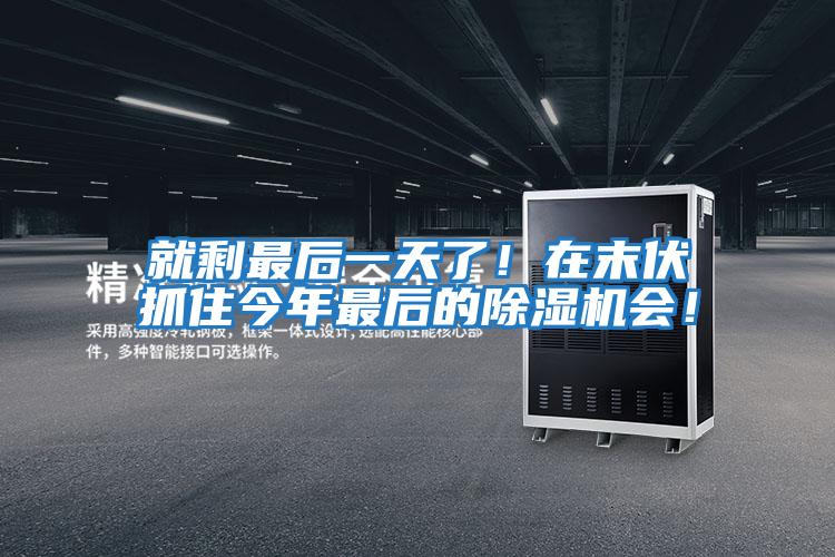 就剩最后一天了！在末伏抓住今年最后的除濕機會！