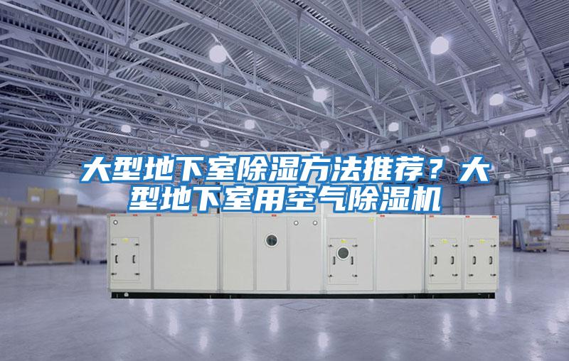 大型地下室除濕方法推薦？大型地下室用空氣除濕機(jī)
