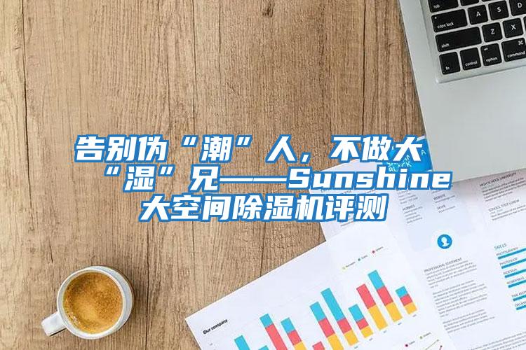 告別偽“潮”人,不做大“濕”兄——Sunshine大空間除濕機評測