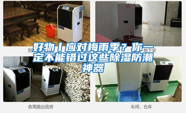 好物丨應對梅雨季?你一定不能錯過這些除濕防潮神器