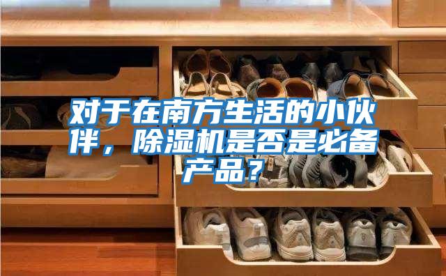 對于在南方生活的小伙伴,除濕機是否是必備產品?